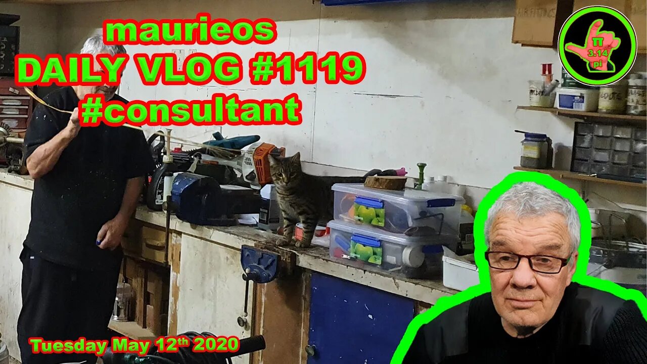 maurieos DAILY VLOG #1119 #consultant
