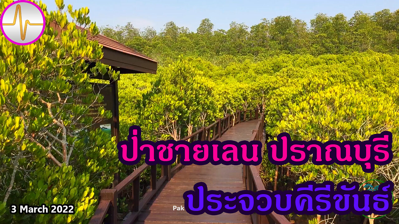 เที่ยว วนอุทยาน ปราณบุรี ปากน้ำปราณ ปราณบุรี ประจวบคีรีขันธ์