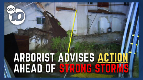 With storms on the way, local arborist has a warning