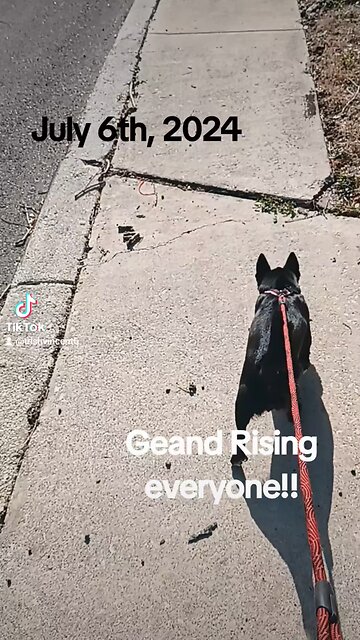 Taking Pepper for a walk!