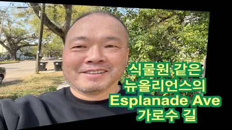 2 뉴올리언스 Esplanade Ave 가로수 길