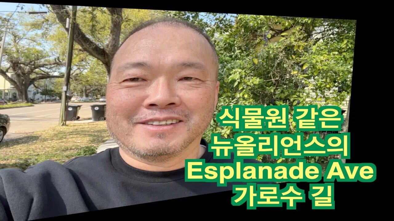 2 뉴올리언스 Esplanade Ave 가로수 길