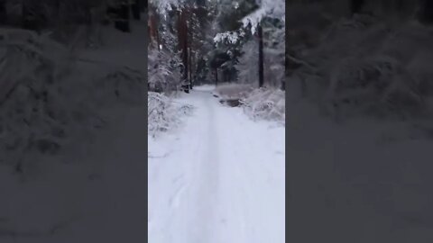 Winter Vibes tiktok m h h m m