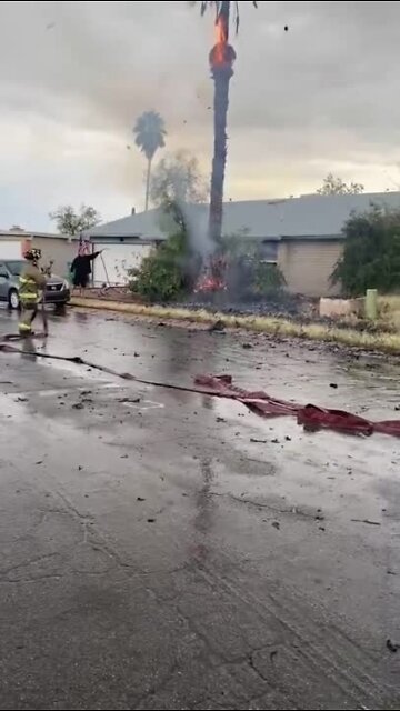 Northwest Fire responded to a lightning-caused tree fire