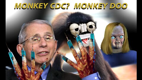 CDC Monkey Business