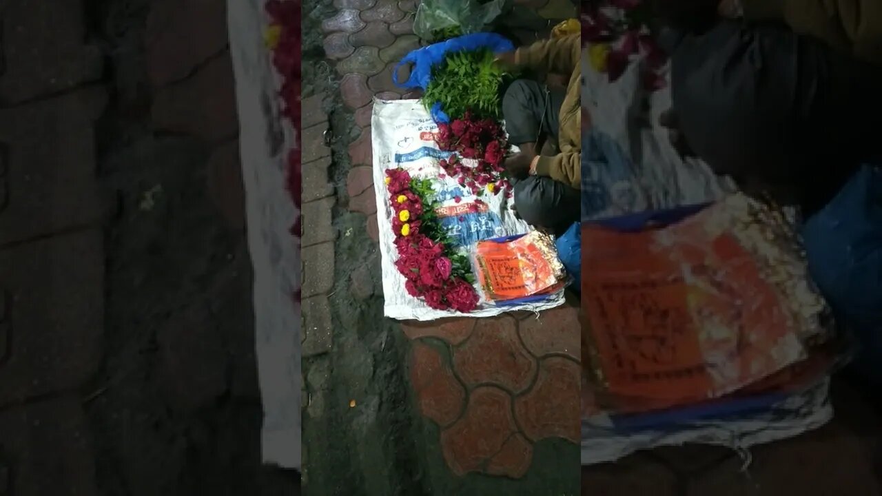 🌹 Rose's For Sai Baba In Shirdi | गुलाब फुल साई बाबा की शिर्डी मे.