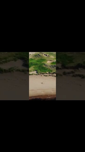 Beautiful drone view of Beach