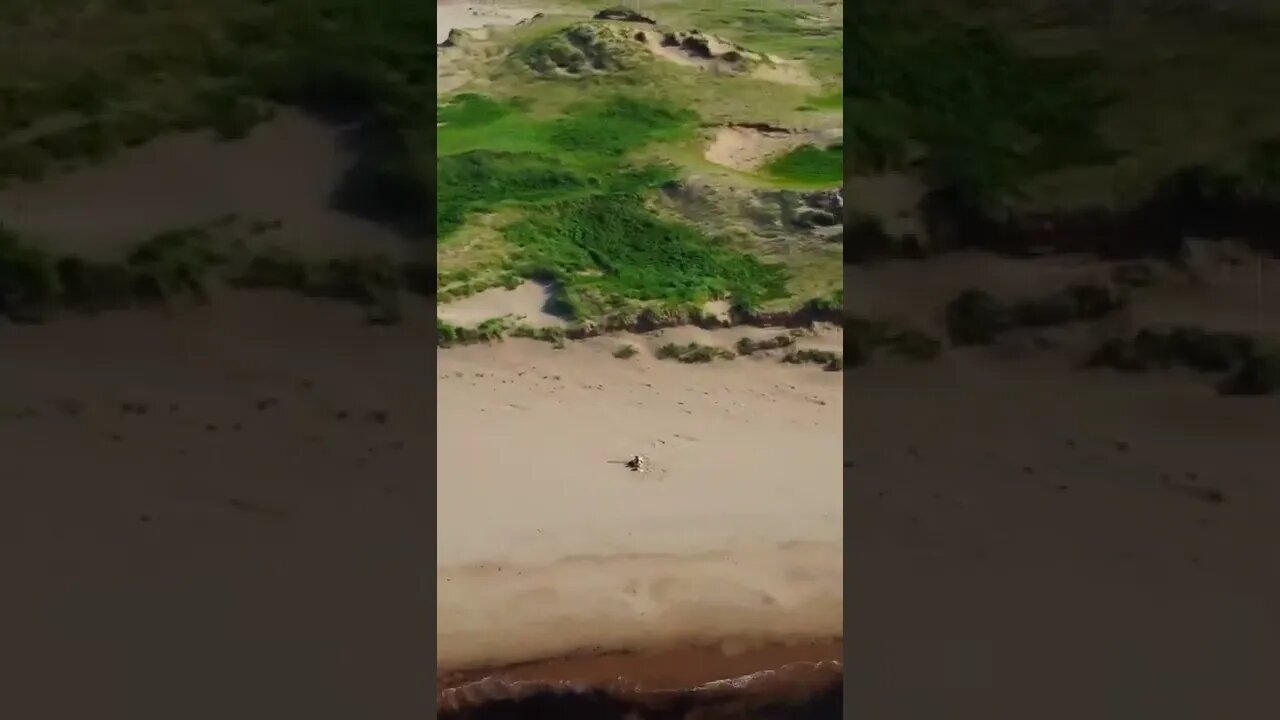 Beautiful drone view of Beach