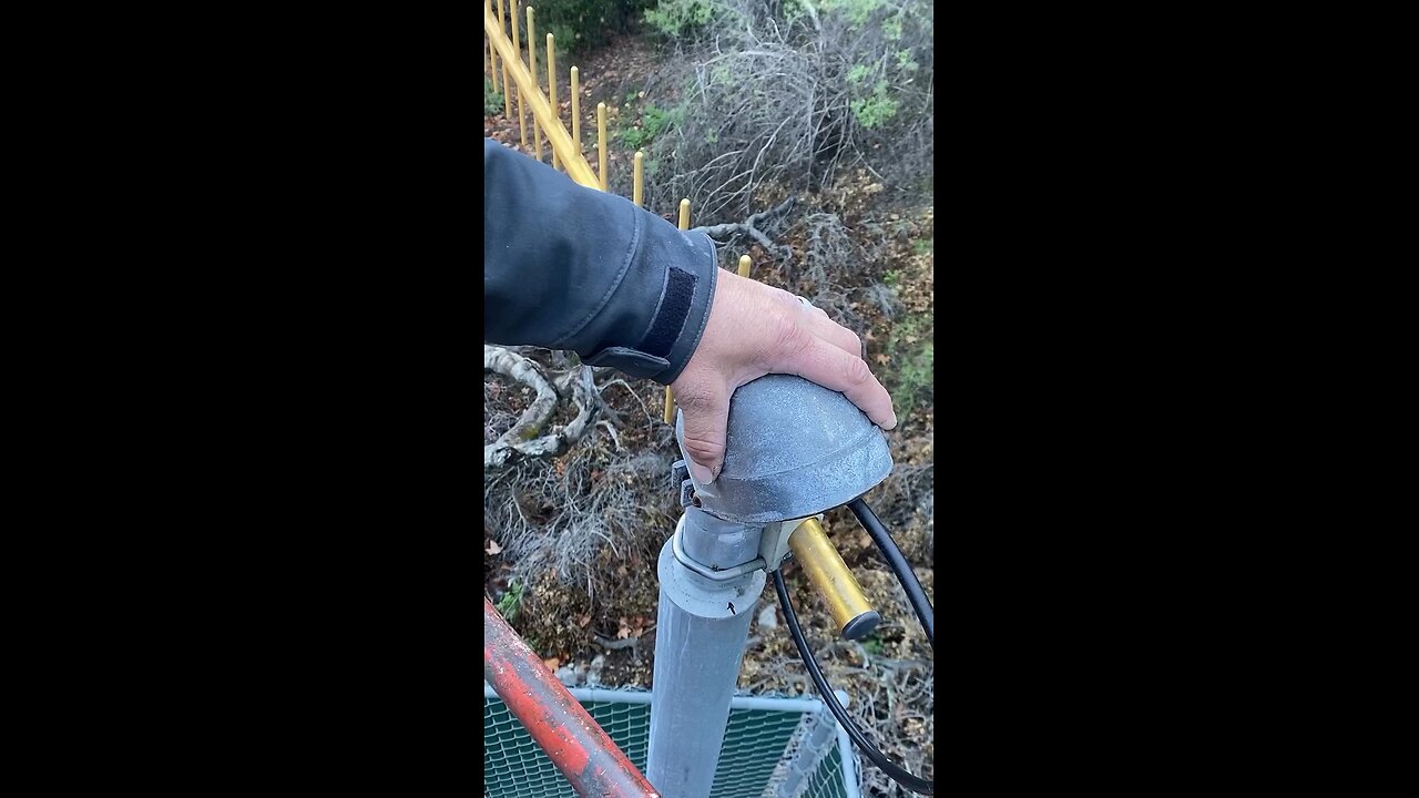 Squirrel saving his food for winter 🥶