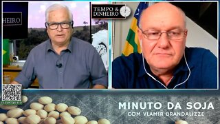 USDA trouxe forte avanço das importações de Soja pela China