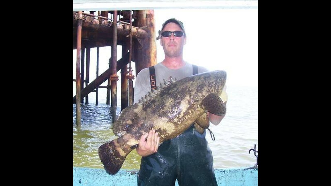 Real Fishing for Pompano and Spanish Mackerel on Oil Rigs /Featuring Tom McDonald's Incredible Music