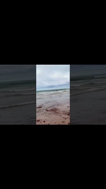 Wavey day at the beach