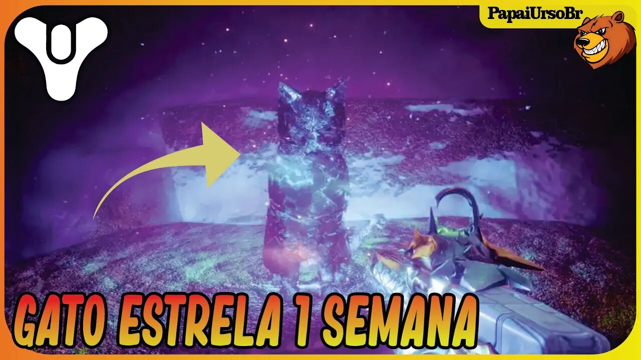 DESTINY 2 │ LOCALIZAÇÃO GATO ESTRELA STARCAT TRIUNFO 1 SEMANA