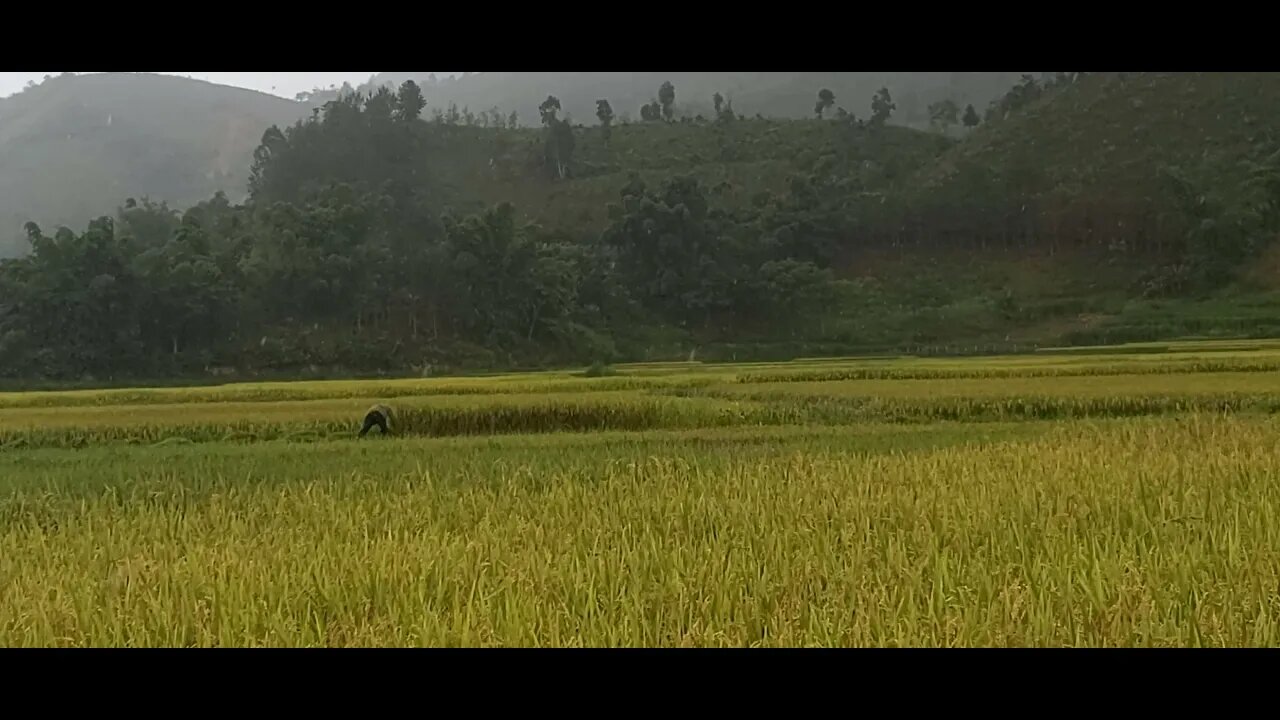 the rain is so bad | daily life vlog