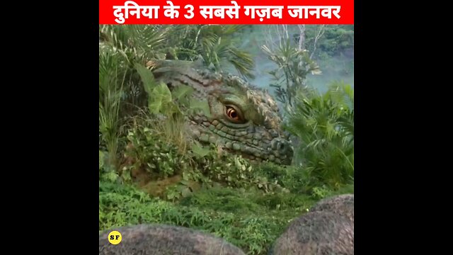 3 ऐसे जानवर 😱 जिन्हें देखकर चौंक जाओगे _ Unique Animals In The World _ #shorts #animals.mp4