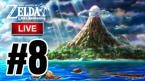 THE LEGEND OF ZELDA: LINK'S AWAKENING (NINTENDO SWITCH) | PART 8 |