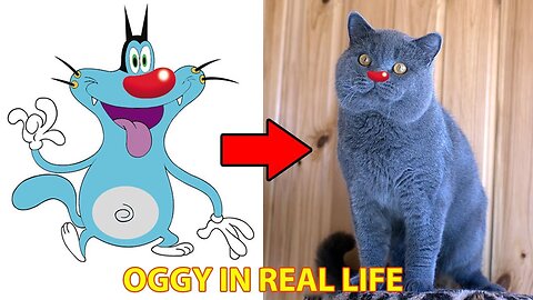 Oggy Characters In Real Life