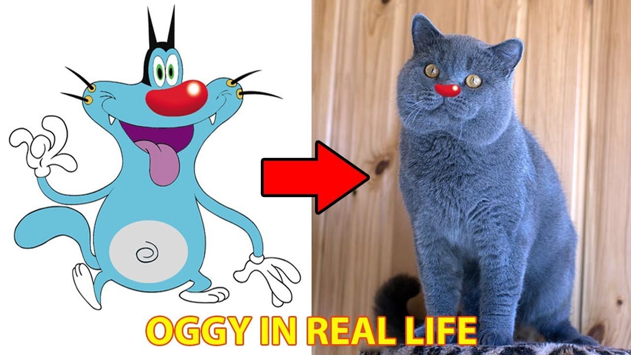 Oggy Characters In Real Life