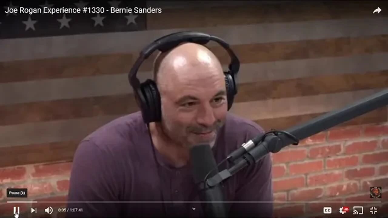 Joe Rogan Backs Bernie. Cue The Sad Fake Outrage & Self Immolating SJWs.