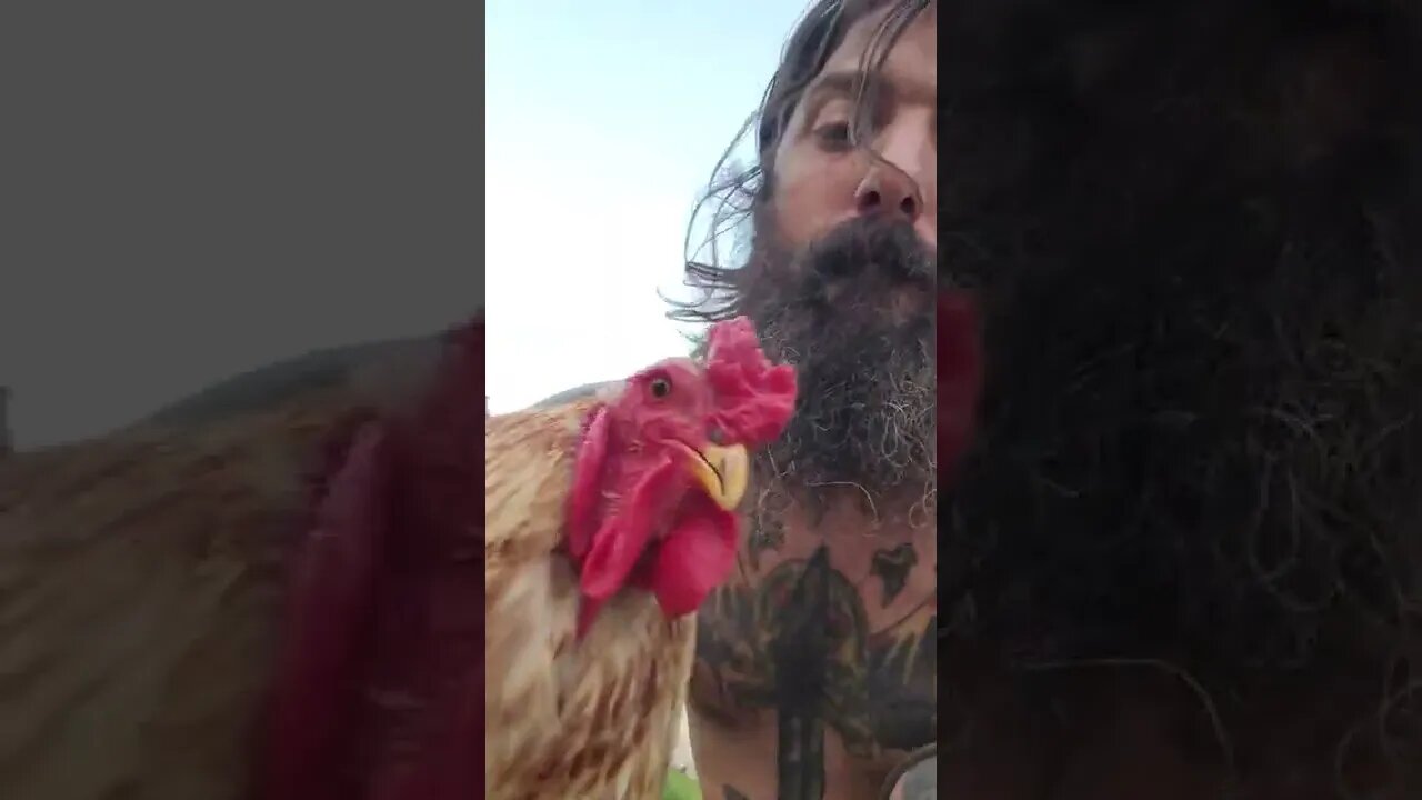 Demanding Cuddles