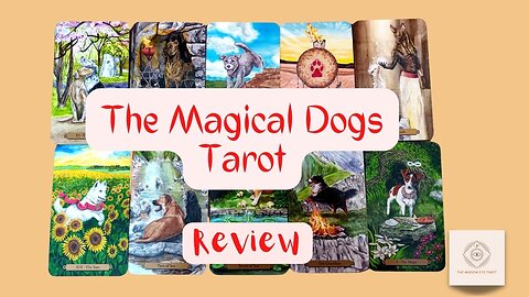 The Magical Dogs Tarot: Review ✨