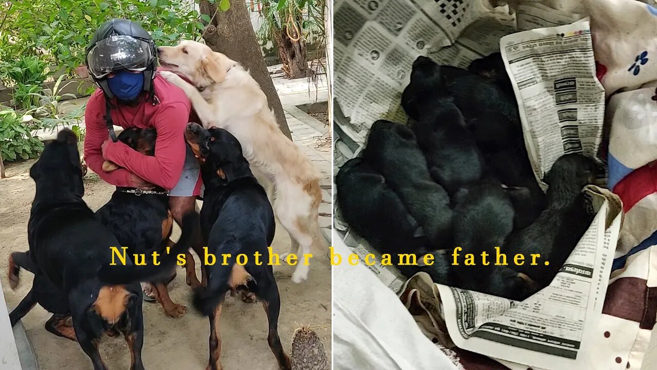 Nut's brother became a father & Hela became emotional after seeing me.|| MR.BOLT