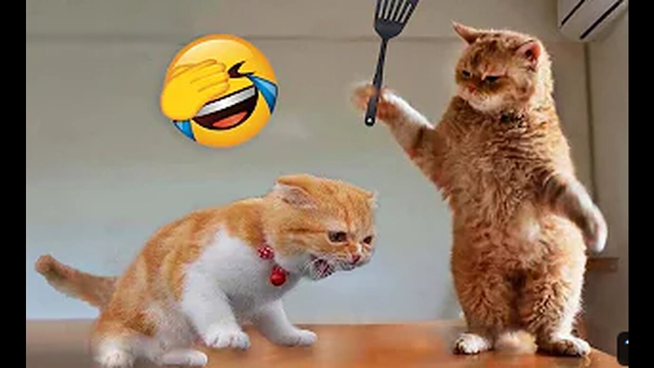 Funniest Animals 2023🤣🤣 Funny Cats and Dogs😂😂 Funny Animal Videos 2023🤣