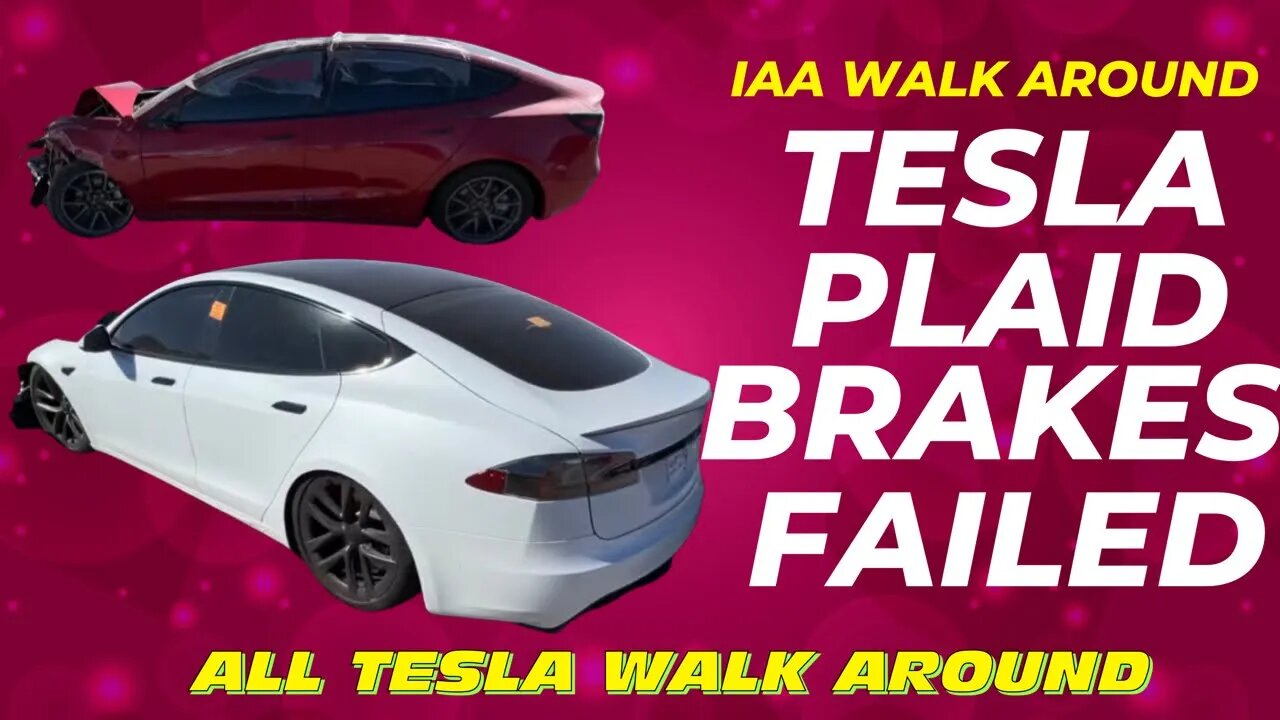 IAA Walk Around ALL TESLA’s Model S Plaid. Cheapest Plaid In The Country