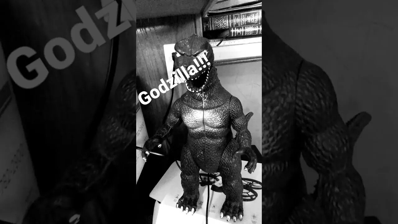 watch out it's Godzilla!!!ゴジラ