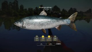 Russian Fishing 4 Volkhov River Ladogo Salmon 6 . 223 Kg