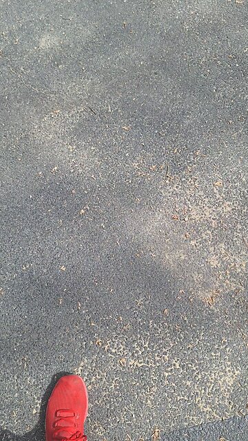 These demons just won't stop!