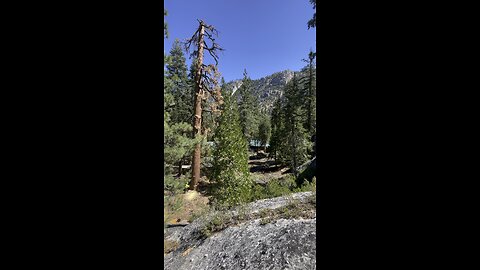 Another view