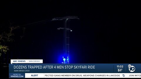 Four arrested in stopping zoo's Skyfari gondola ride