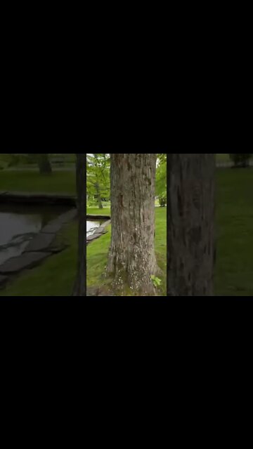 Walking through Halifax Nova Scotia Public Gardens