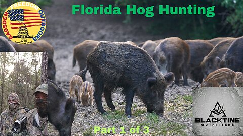 Hunting in Florida