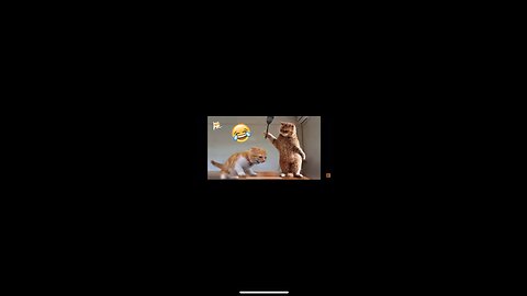 Funny cat vedios 😂#funny