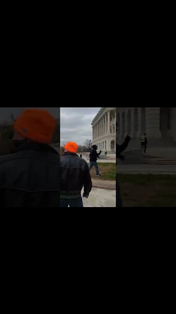 Trump Terrorists Breach The US Capitol #shorts