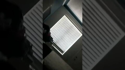 Loud bass all morning #gangstalking miscreants!