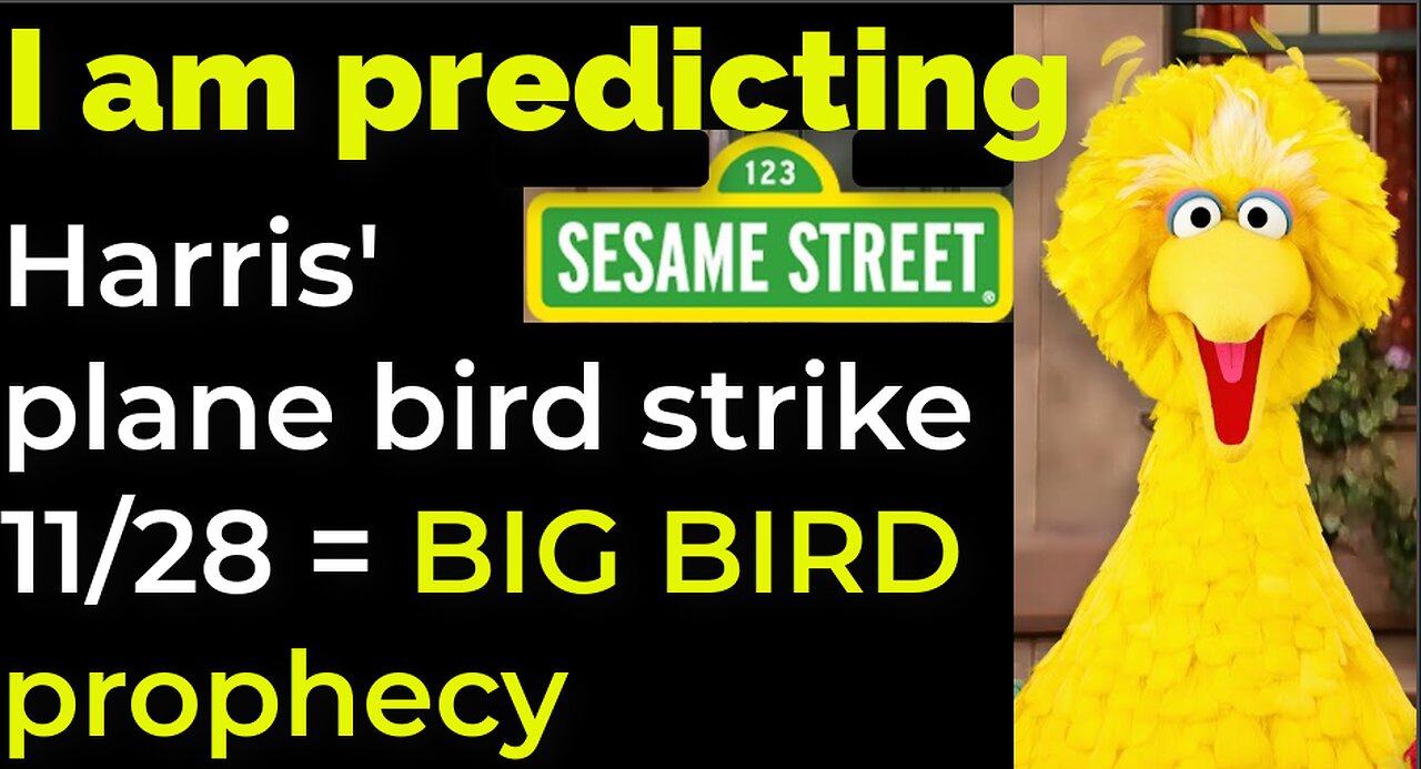 I am predicting: Harris' plane will crash - bird strike - on Nov 28 = BIG BIRD PROPHECY