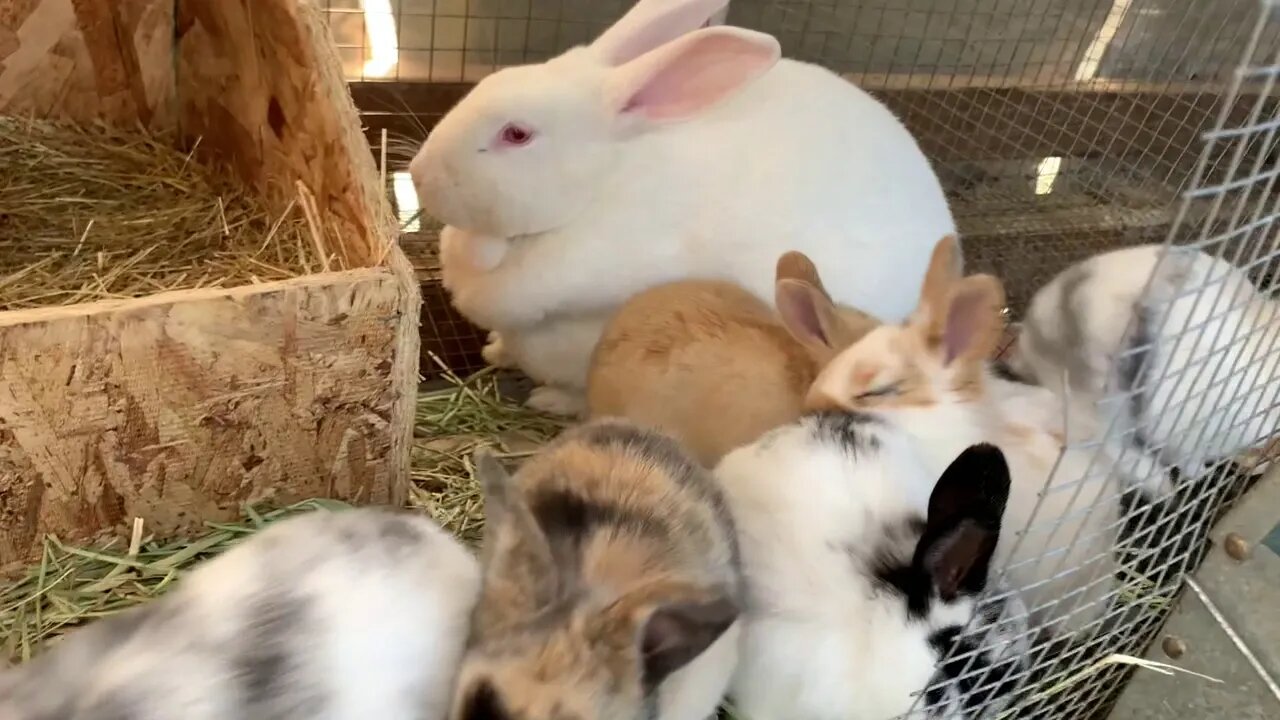 Getting used to a loving touch