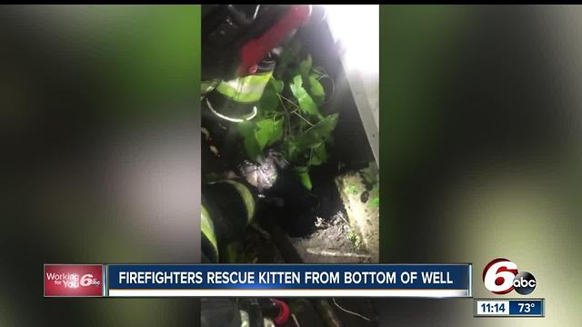 Indianapolis firefighters rescue kitten from bottom of a well