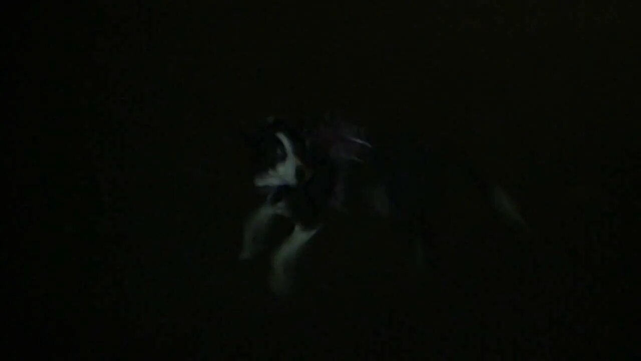 DSCF0002