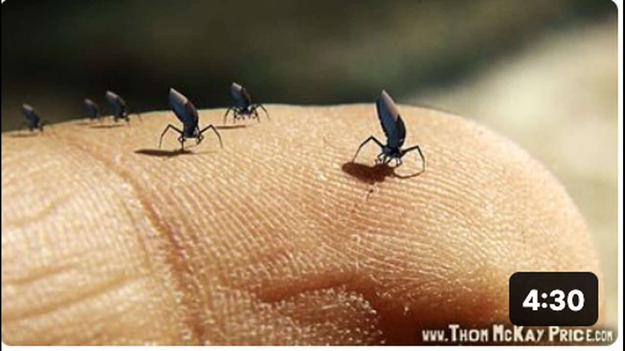 SELF-ASSEMBLING MORGELLONS LIKE GRAPHENE NANOBOTS are in the COVID-VACCINES and the CHEMTRAILS