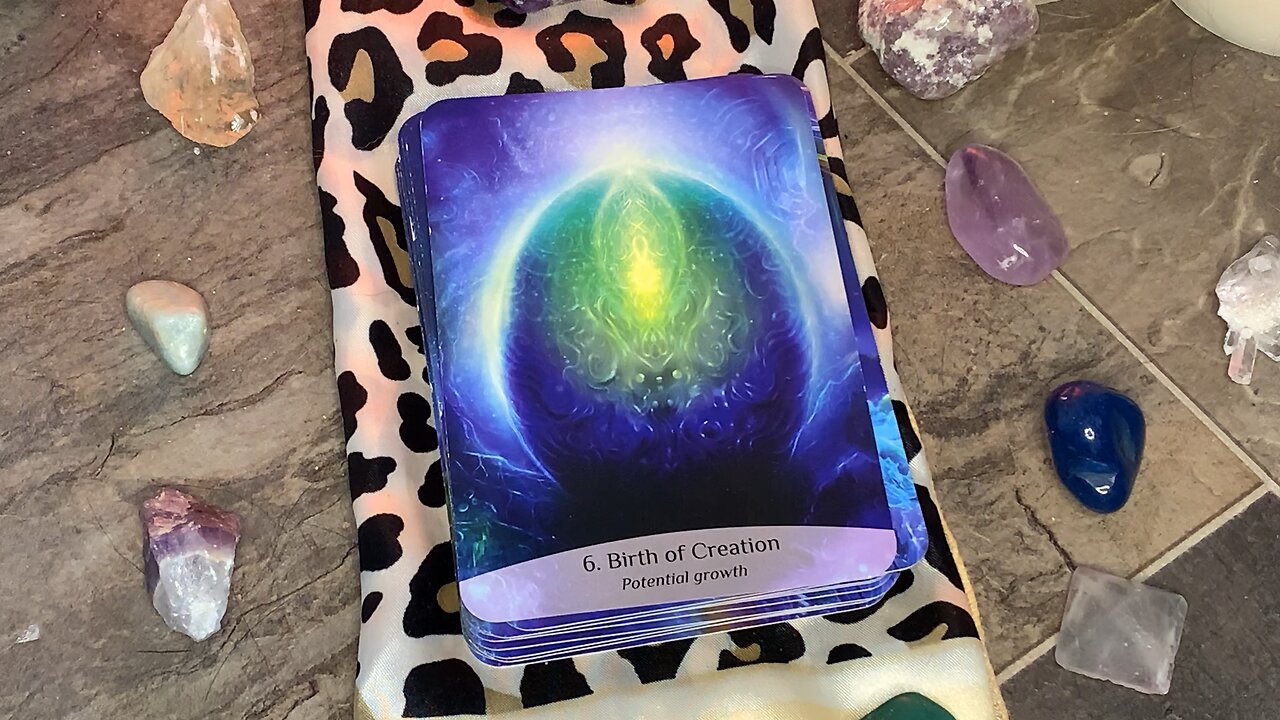 ✨Birth of Creation 🥚✨