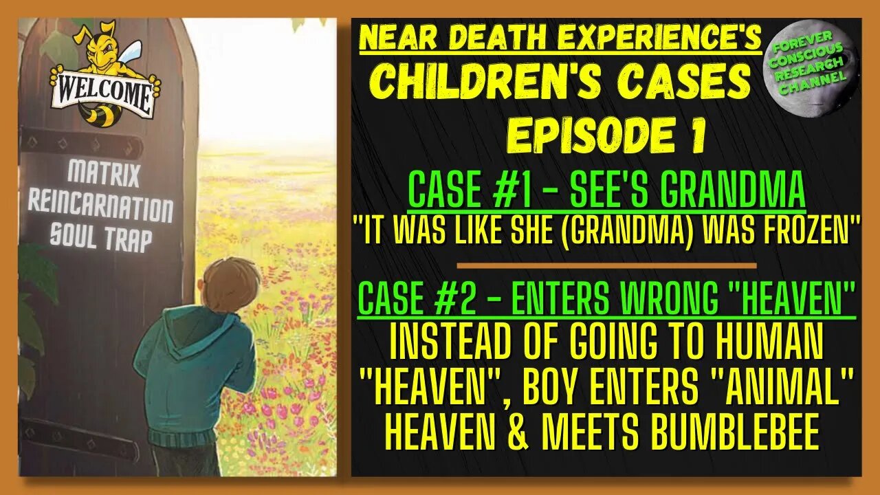 Ep1 NDE Commentary Children | FROZEN Grandma & Wrong "Heaven" | Matrix Reincarnation Soul Trap