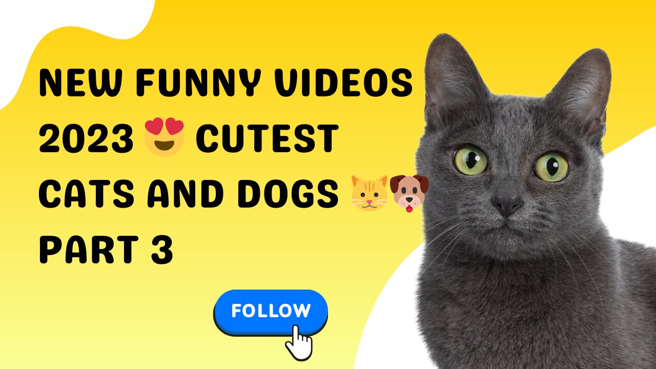 New Funny Videos 2023 😍 Cutest Cats and Dogs 🐱🐶 Part 03