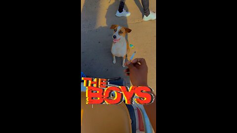 The Boys Meme