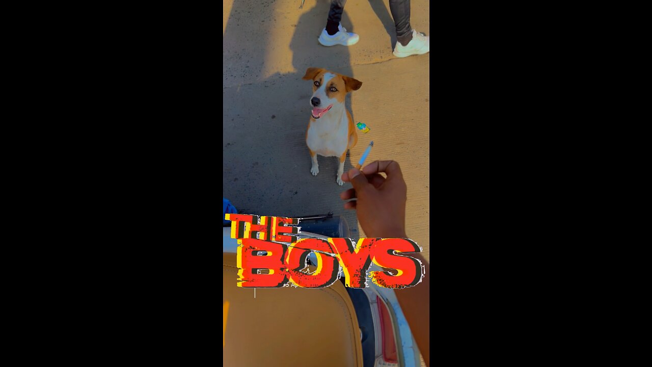 The Boys Meme