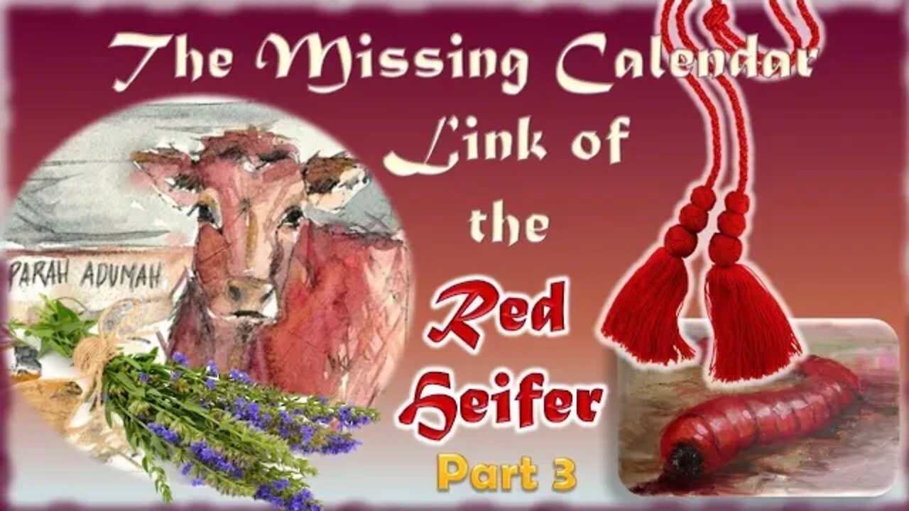 3.8 The Mystery of the Red Heifer Part 3