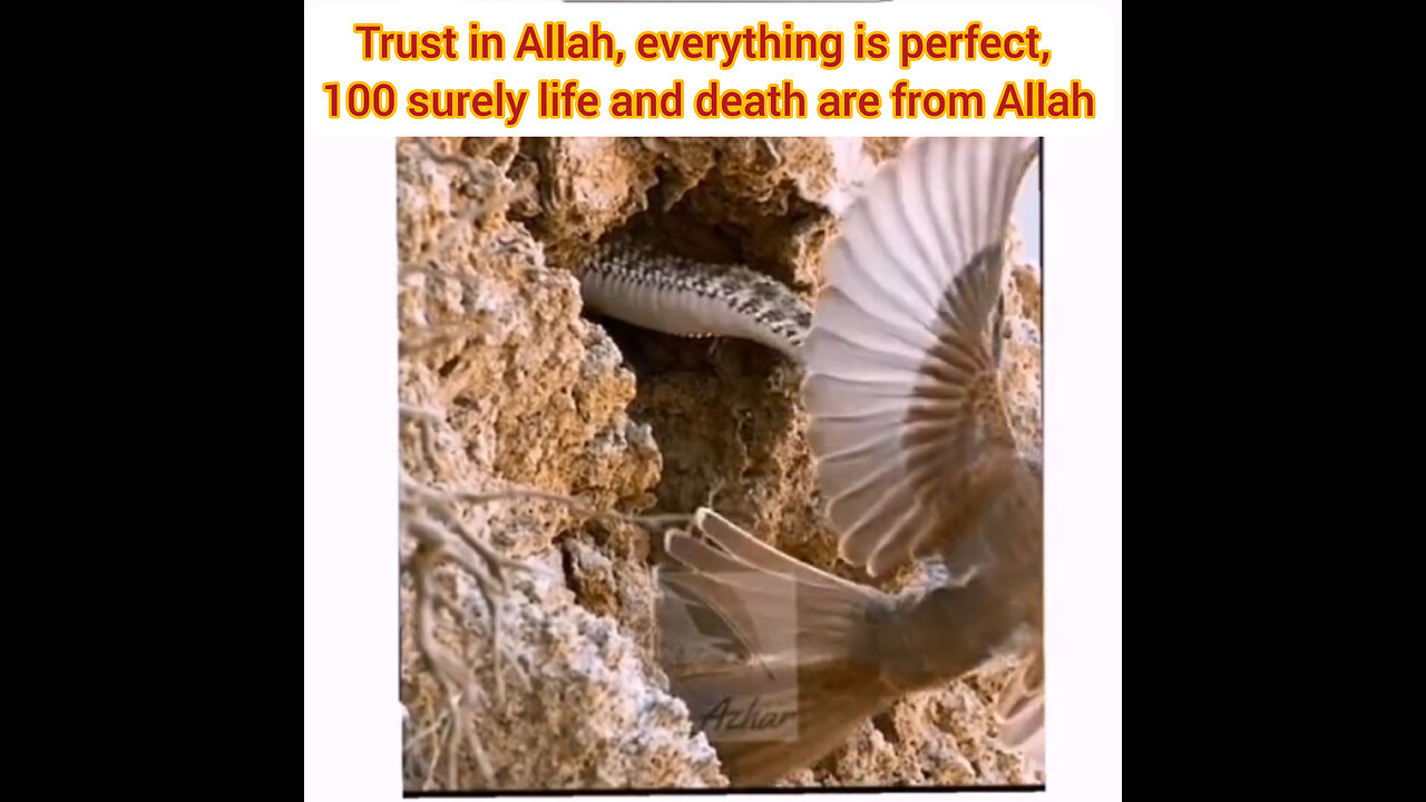 Trust in Allah, everything is perfect . 100 surely life and death are from Allah